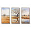 Paysage australien australien V - Australie, art mural-724064376-724064371