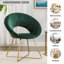 Zed 68cm Wide Velvet Papasan Chair-74570675-49351483