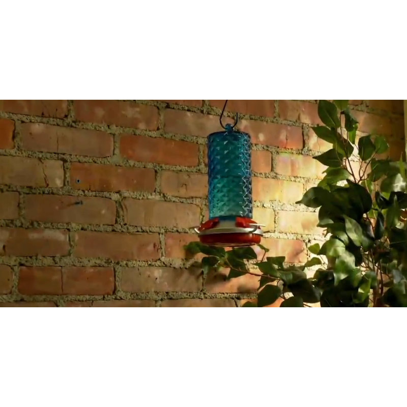 Glass Hummingbird Feeder