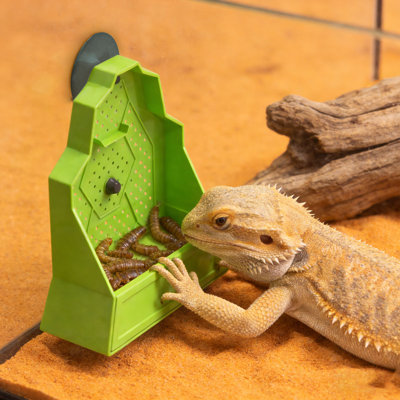 Bol pour reptiles, mangeoire pour reptiles, mangeoire de coin pour reptiles avec ventouses