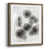 Toile avec cadre noyer
