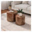 Ensemble de 2 tables d'appoint modernes Modernes