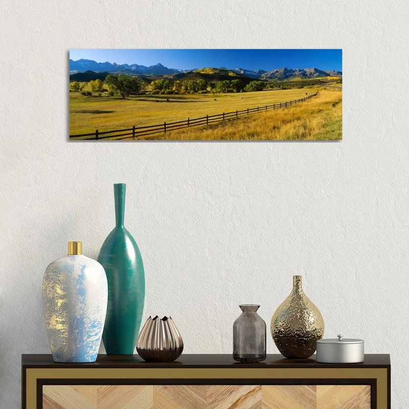 Trees In A Field, Colorado, USA - Wrapped Canvas Panoramic Print, 30.48 cm H x 91.44 cm W x 1.91 cm D