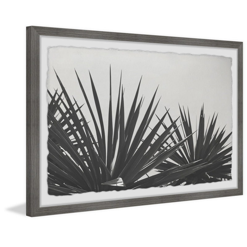 Blue Agave - Single Picture Frame Painting, 61 cm H x 91 cm W