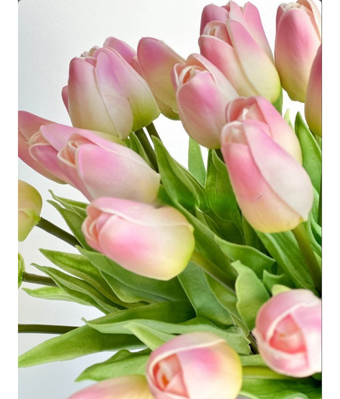 Arrangement floral moderne 60 tulipes, Rose/Blanc