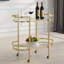 Birch Lane™ Chester Gold Bar Cart