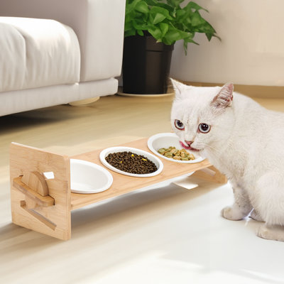 Elevated Feeder