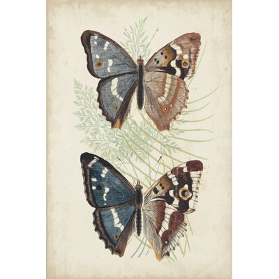 Rosalind Wheeler Butterflies And Ferns IV On Canvas Painting | Wayfair