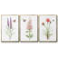 Wildflower Botanical I - Ensemble de 3 reproductions sur toile-1547100155-1547100152