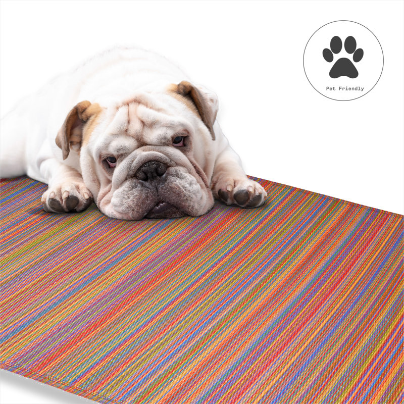 Tapis d'extérieur imperméable en plastique Amyree, Cancun - multicolore, Tapis de couloir 2 pi 6 po x 8 pi
