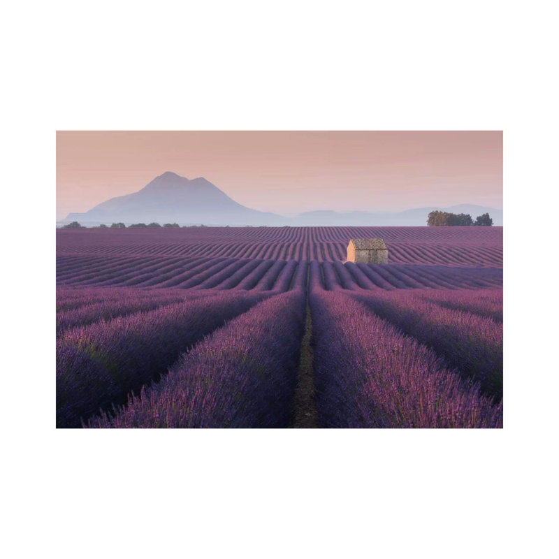 Lavender Fields of Provence III 1 Piece Wall Art on Canvas, 20.32 cm H x 30.48 cm W, Wrapped Canvas