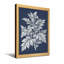 Plantes et fleurs, motif de feuilles botaniques en style monochrome-121735459-121735458-121735457