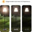 Lampe sur pied d'extérieur 60 po