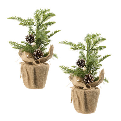 S/2 18X10" Pine Arrangement