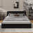 Upholstered Platform Bed-154375270