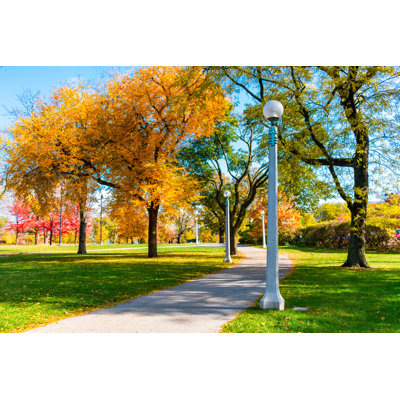 Autumn Trees by James Andrews - Wrapped Canvas Print