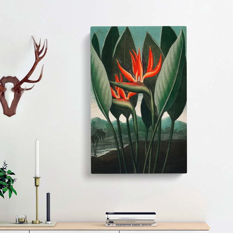 Exotic Flowers by R.J. Thornton - Wrapped Canvas Painting, 50cm H x 35cm W x 3cm D