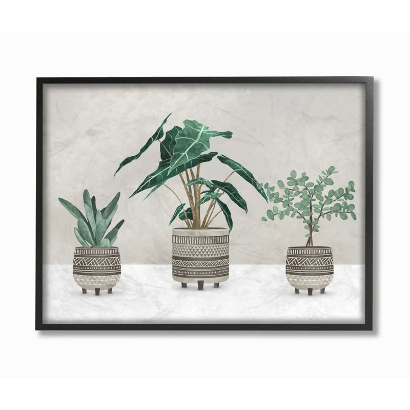 «Plants in Patterned Pots Neutral Gray Design» par Ziwei Li - impression d'art graphique, H 11 po x l 14 po