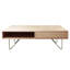 Anurima Coffee Table with Storage