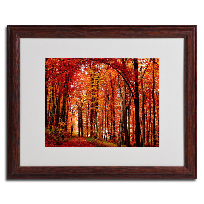 « the red way » par philippe sainte-laudy,, reproduction de photo encadrée, H 16 po x l 20 po x P 0,5 po, Brun - Biseautée
