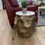 Photos des clients 3 de 5