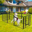 Crayon pour chien train-49909011