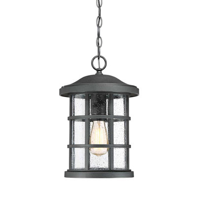 Bedhelm Outdoor Hanging Lantern