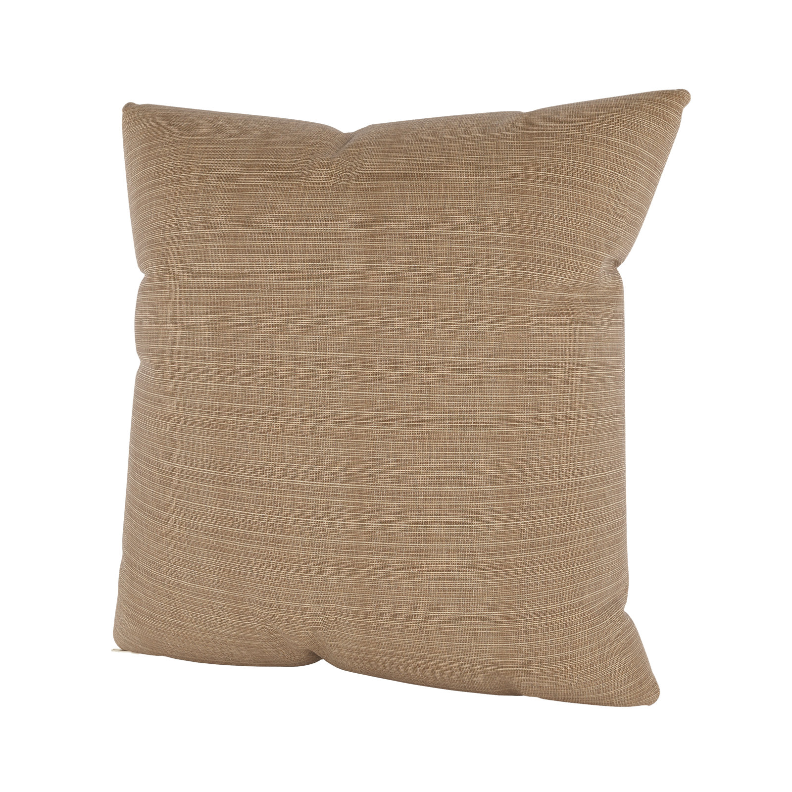 Indoor/Outdoor Throw Pillow, Square 16", Dupione Latte