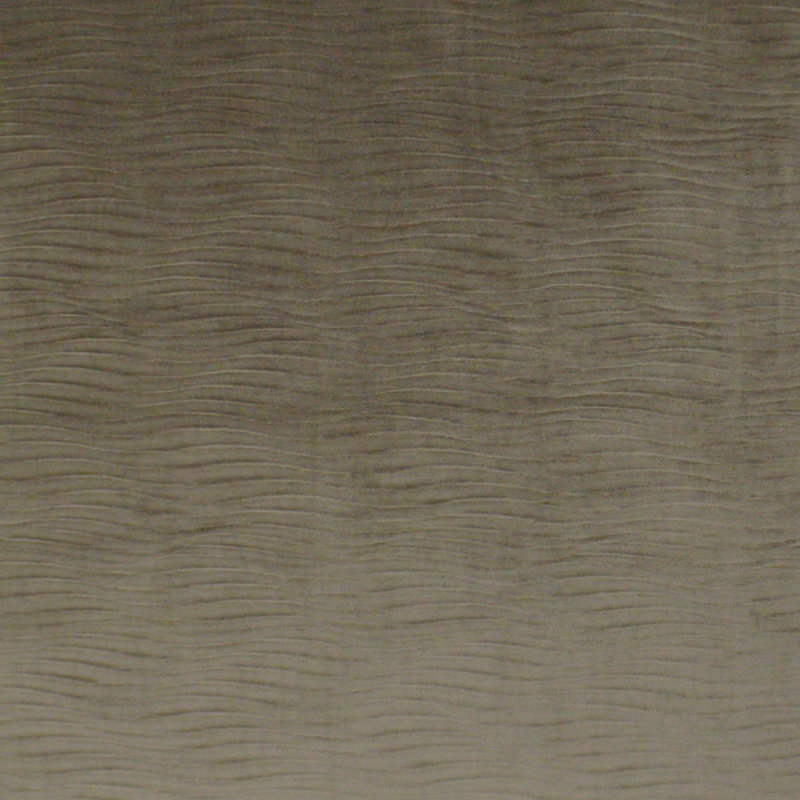 Tissu Stream, Champignon