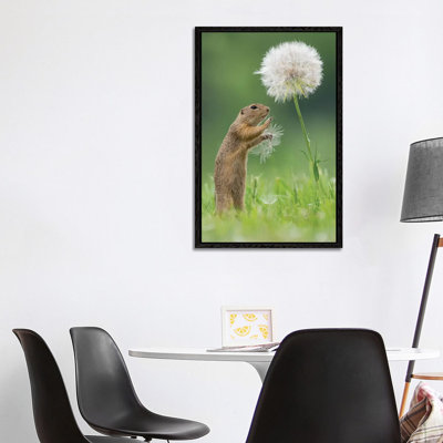 Ziesel With A Very Big Dandelion I by Dick Van Duijn - Print on Canvas