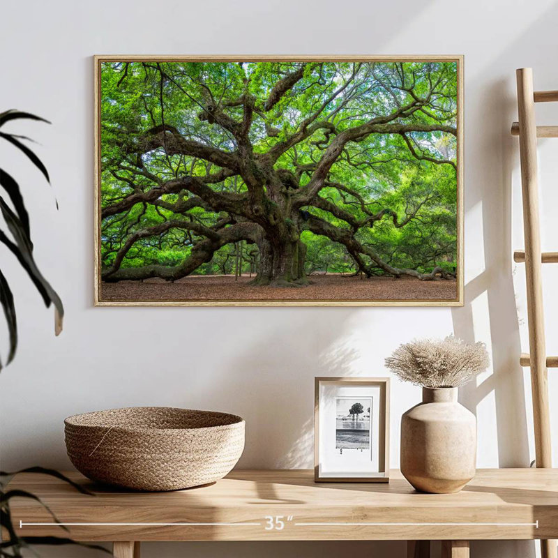 Vieux chêne, 25 po x 17 po, Cadre flottant en bois naturel