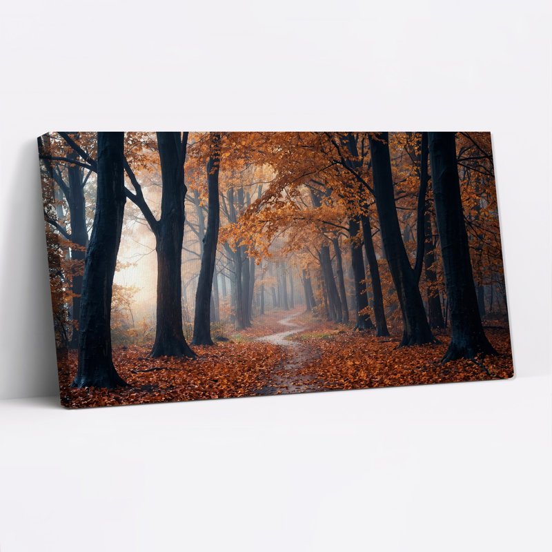 Chemin forestier brumeux d'automne sous un soleil doré - Tableau sur toile, 58“W x 28”H