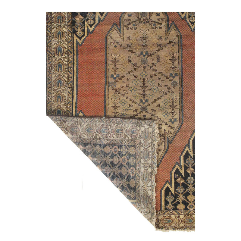 Tapis noir de salon Isabelline Malayer - 4 pi 6 po x 6 pi 4 po