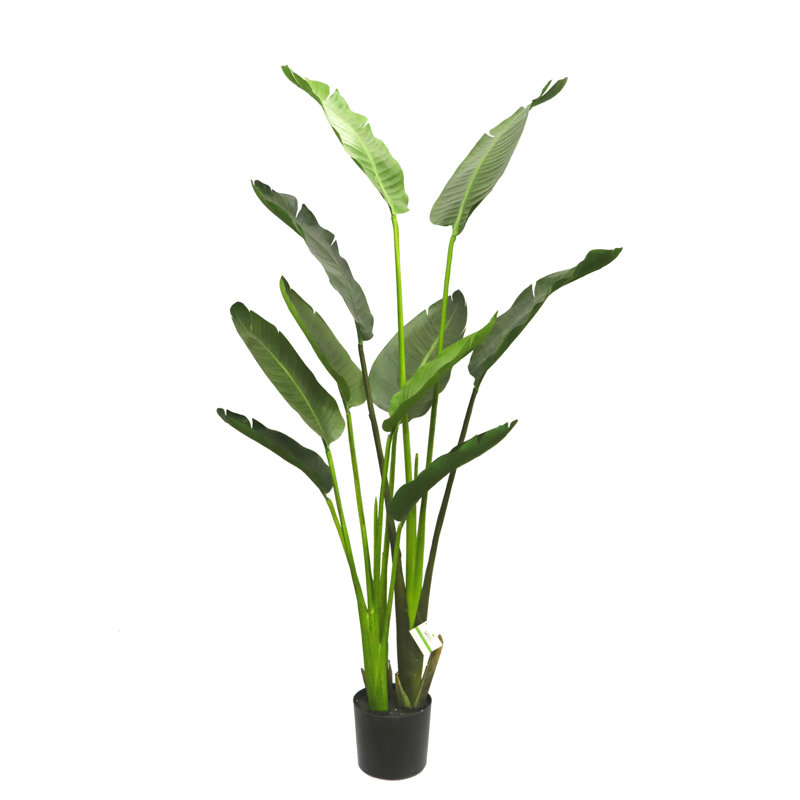 Faux Palm Plant in Pot, 63" H x 23" W x 35" D