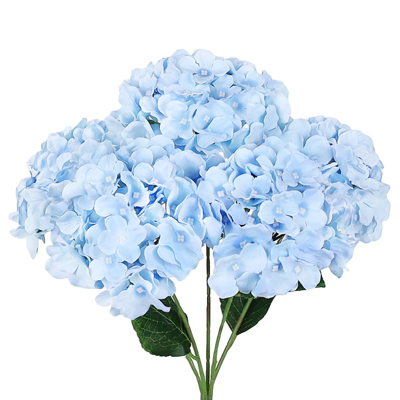 Hortensia de luxe, Bleu pastel