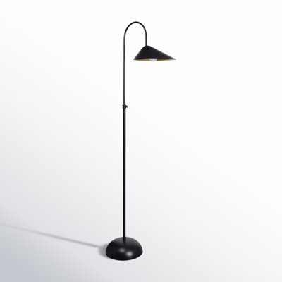 Darien 68.5'' Black Arched Floor Lamp