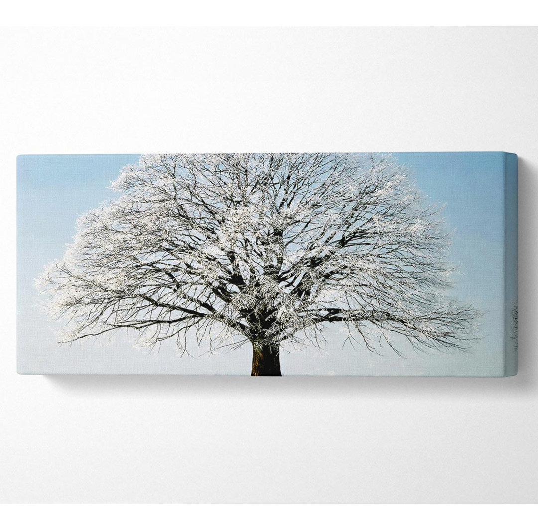 Schnee-Baum - Panorama-Kunstdrucke auf Leinwand