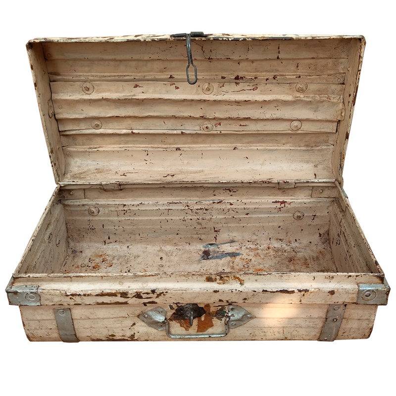 Aicke Handmade Decorative Trunk
