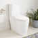 Toilette allongée deux pièces 1,28 GPF Grayvik