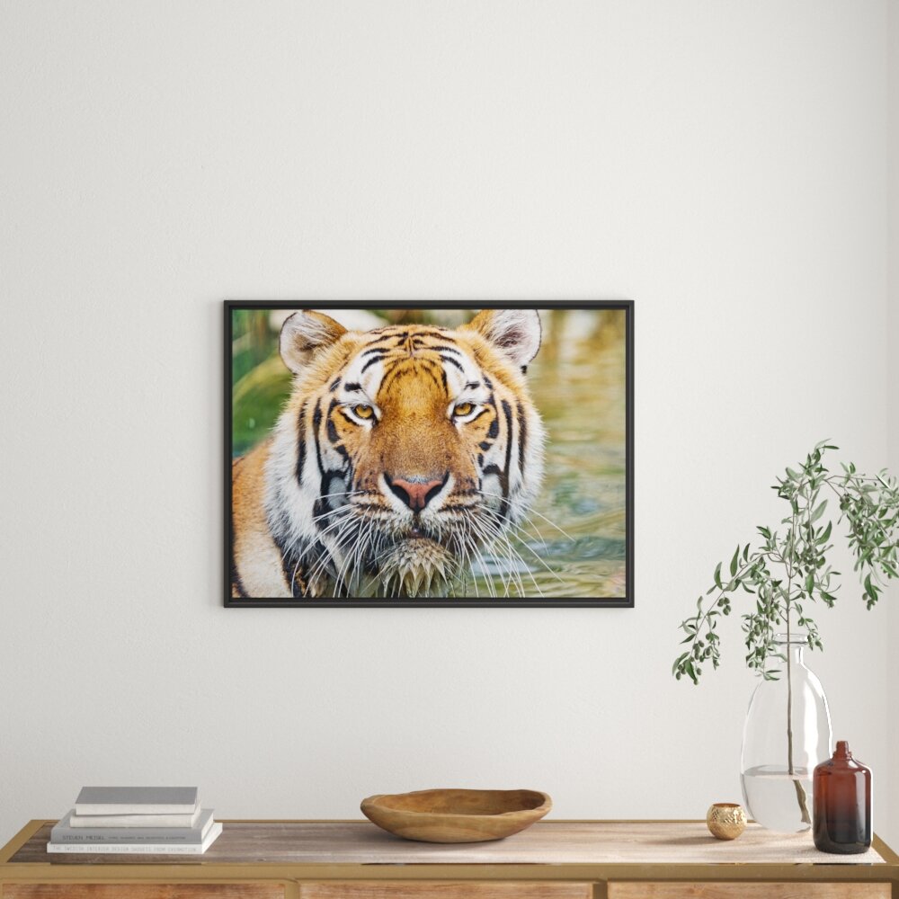 Gerahmtes Wandbild TigerWasser