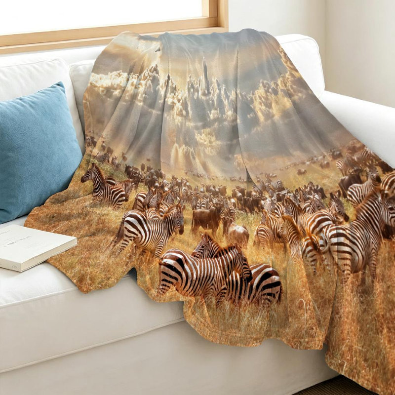 Jeté en molleton transparent ultra doux, zèbres sauvages d'Afrique et imprimé recto, Throw 40" x 50"
