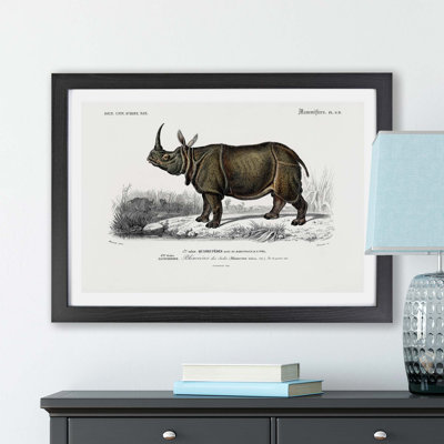 Indian Rhinoceros by Charles D' Orbigny - Single Picture Frame Painting