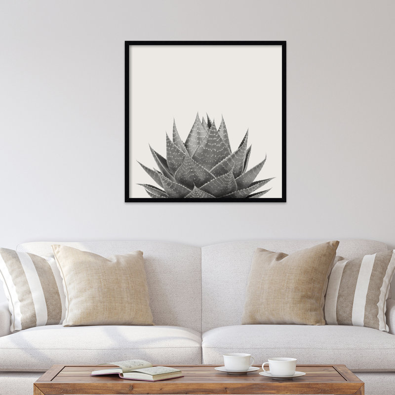 «Haze Aloe Succulent» par The Creative Bunch Studio - photographie avec cadre photo, H 33 po x l 33 po, Cadre noir