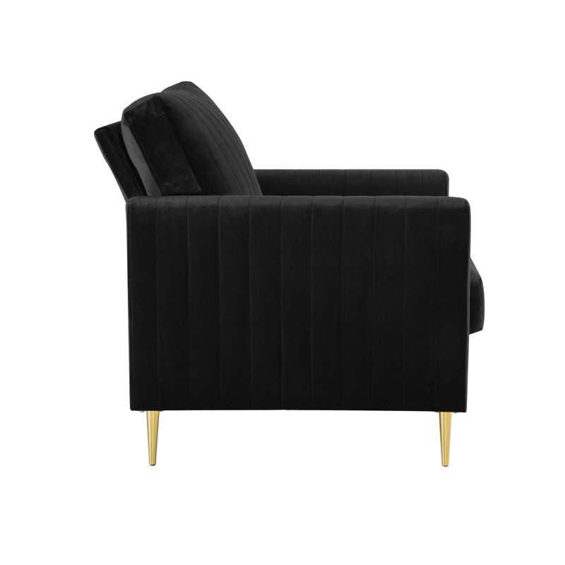 Marienthal 2 - Piece Velvet Living Room Set, Black