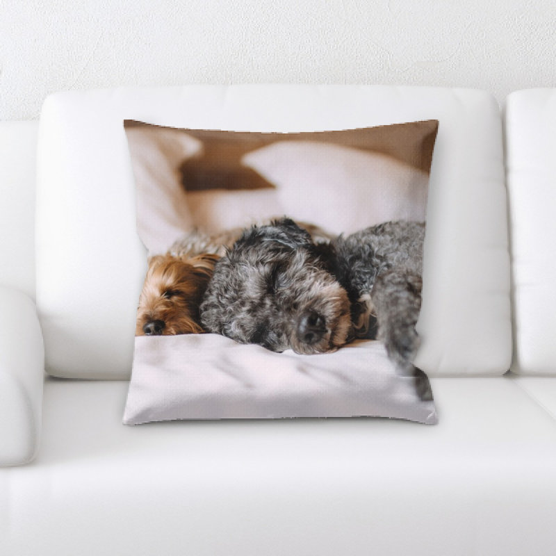 Microsuede Throw Pillow