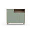 16 Pair Solid Wood Shoe Storage Cabinet-1905897489