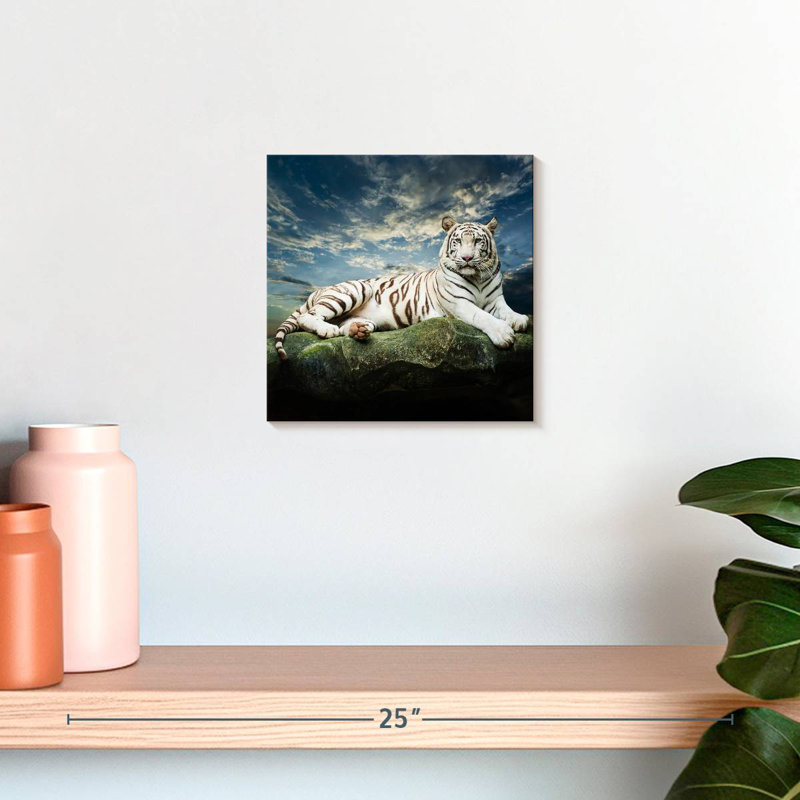 Tigre blanc Brampt, H 10 po x l 10 po