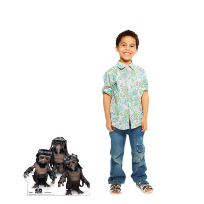 19'' Star Wars Cardboard Standup