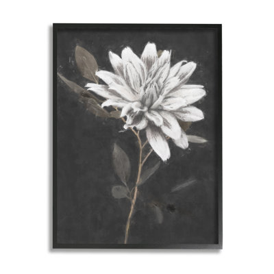 " Blooming Dahlia Flower Black Background " Acrylic Painting