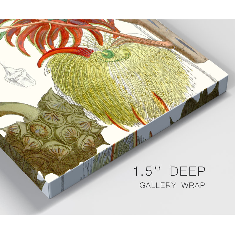 Reproduction d’art sur toile tendue « tropical Variety IV », H 36 po x l 24 po x P 1 po